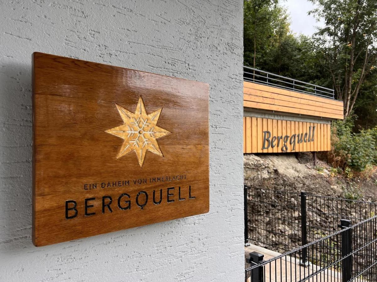 Haus Bergquell App 2 Lägenhet Willingen  Exteriör bild